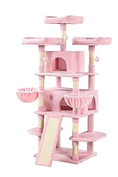 Milk‐tree♡ Ga-866 Jujube – Trees of Antiquity